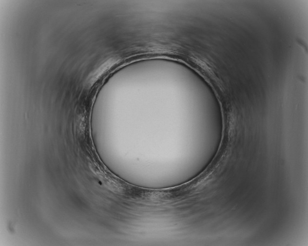 X0000100981163200807081236