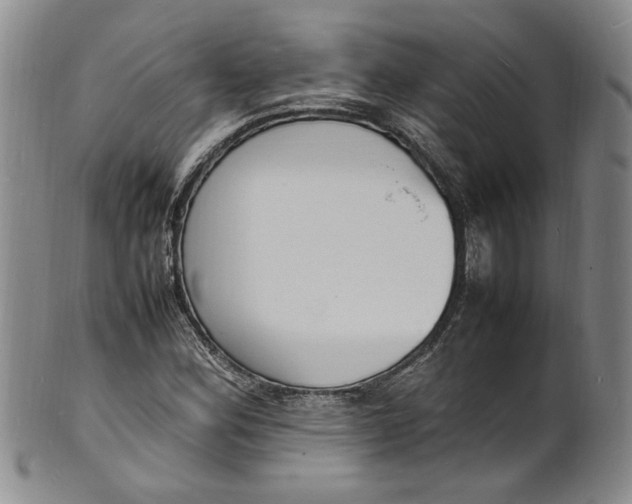 X0000100981164200807081236