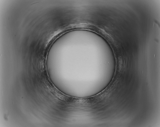 X0000100981166200807081236