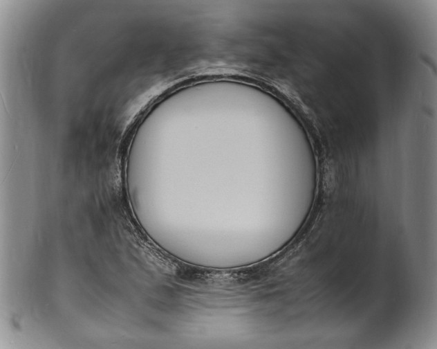 X0000100981167200807081236