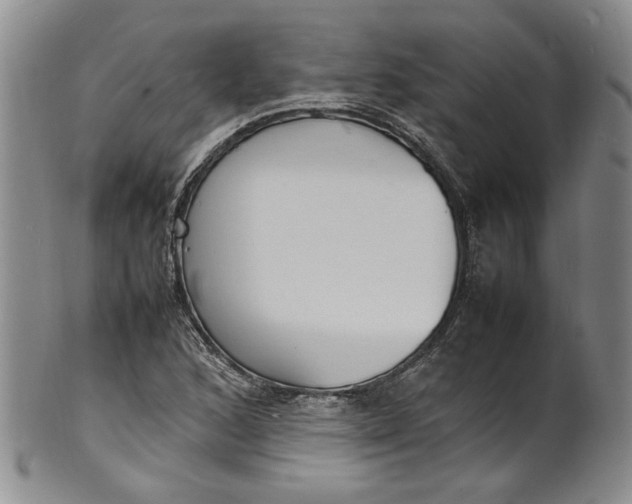 X0000100981168200807081236