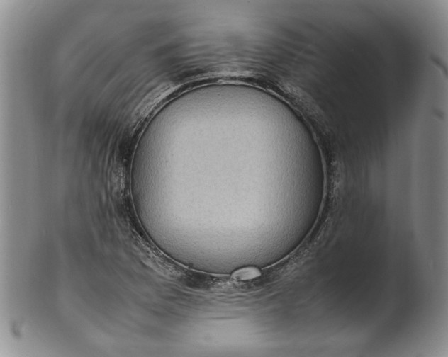 X0000100981169200807081236