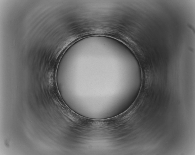 X0000100981170200807081236