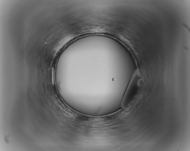 X0000100981171200807081236