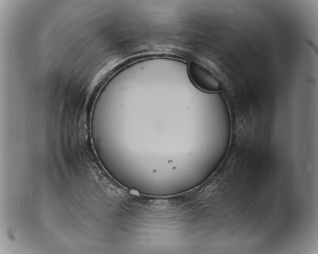 X0000100981172200807081236