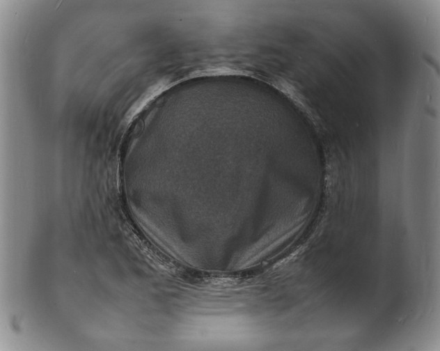 X0000100981173200807081236