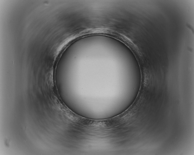 X0000100981174200807081236