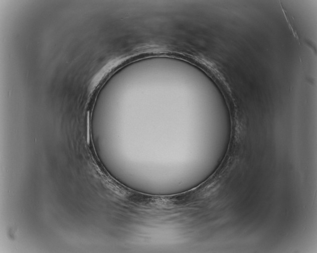 X0000100981175200807081236