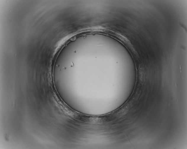 X0000100981176200807081236