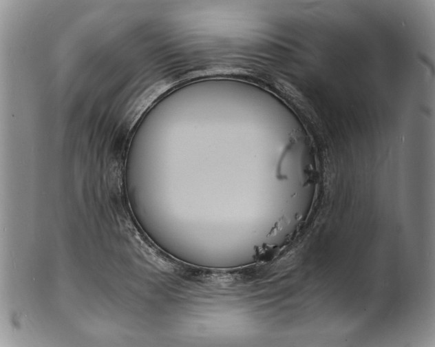 X0000100981177200807081236