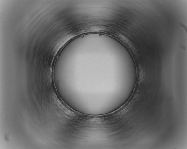 X0000100981178200807081236