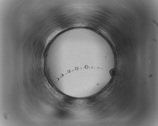 X0000100981179200807081236