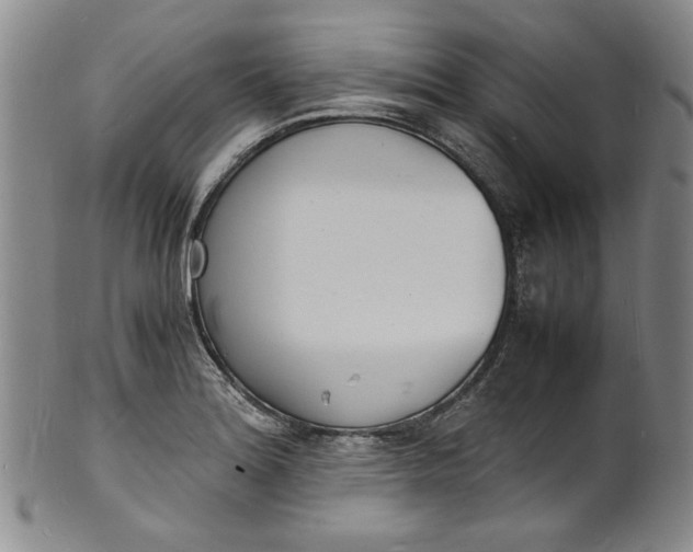 X0000100981180200807081236