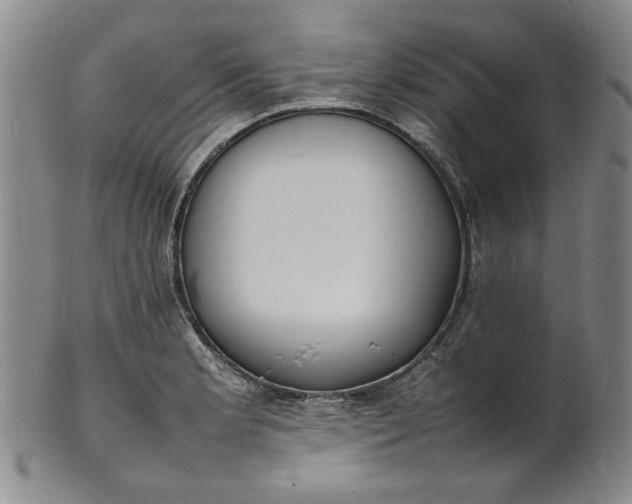 X0000100981181200807081236