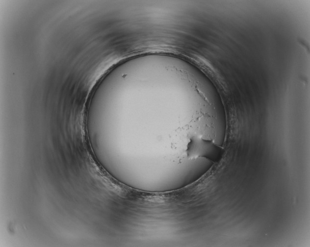 X0000100981182200807081236