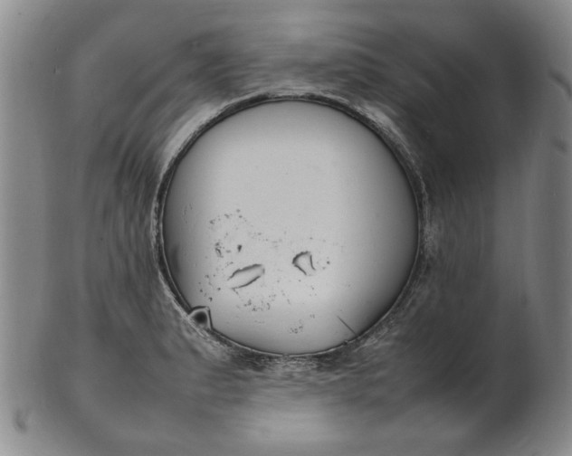 X0000100981183200807081236