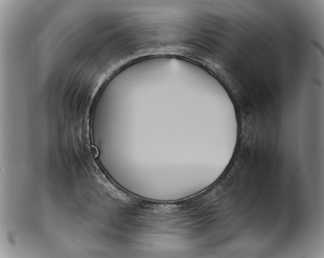 X0000100981184200807081236