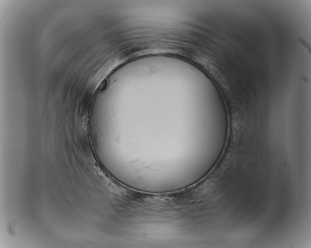 X0000100981185200807081236