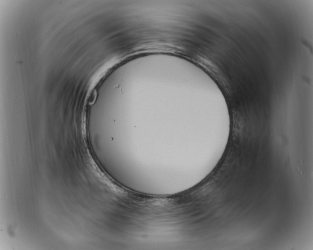 X0000100981188200807081236