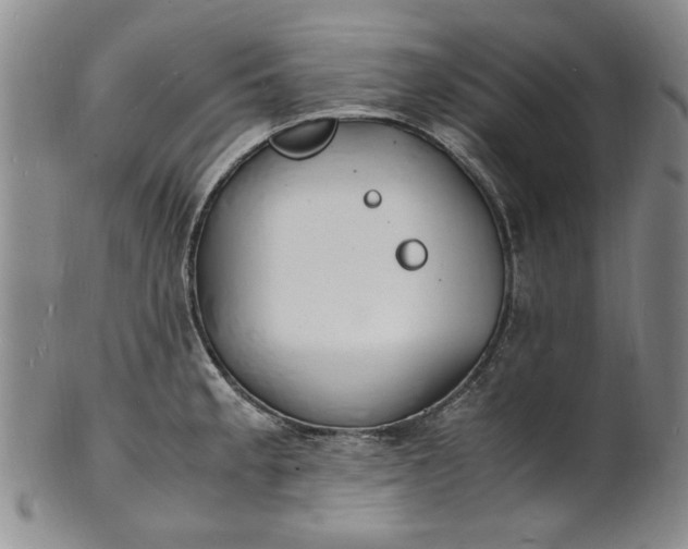 X0000100981189200807081236