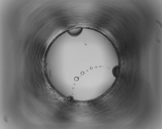 X0000100981190200807081236