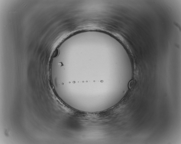 X0000100981191200807081236