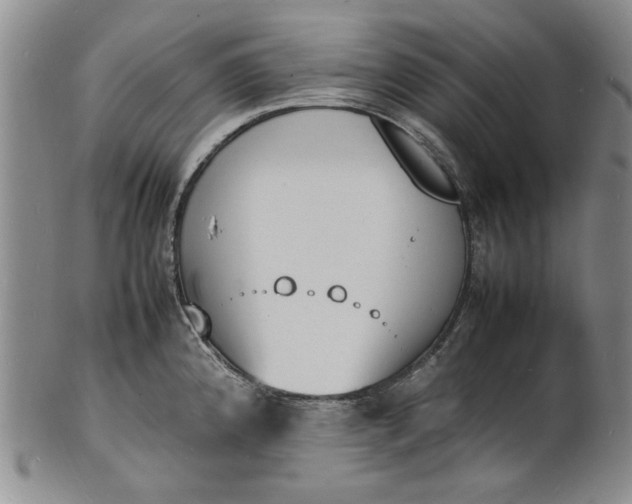 X0000100981192200807081236