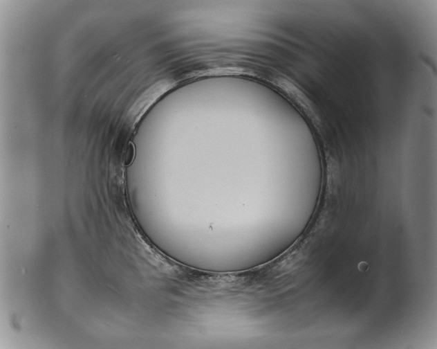 X0000100981193200807081236