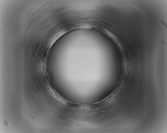 X0000100981194200807081236