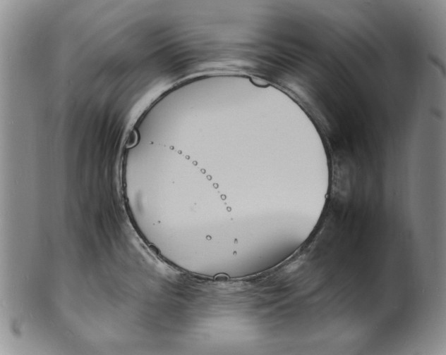 X0000100981196200807081236