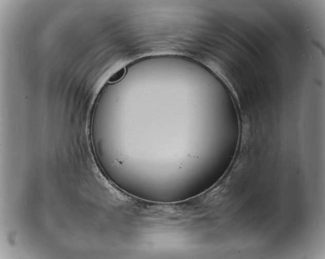 X0000100981197200807081236