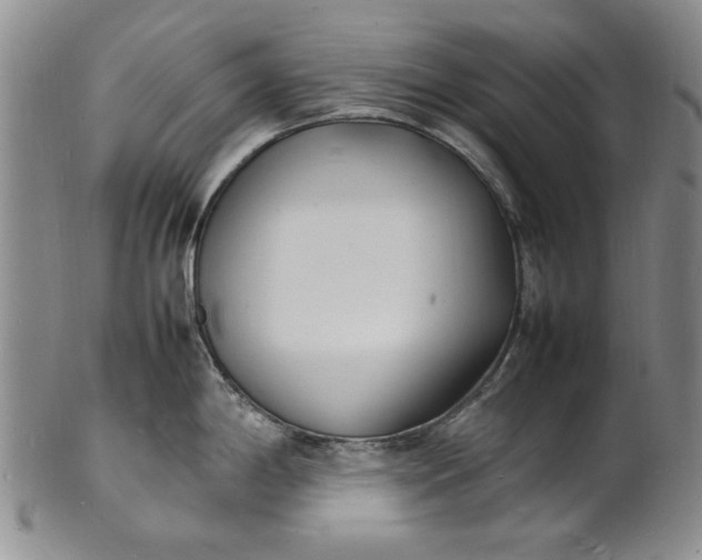 X0000100981198200807081236