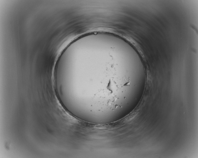 X0000100981199200807081236