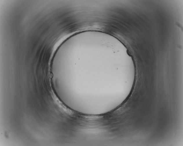 X0000100981200200807081236