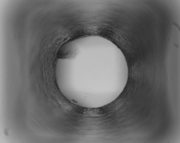 X0000100981201200807081235