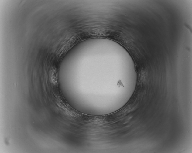 X0000100981202200807081235