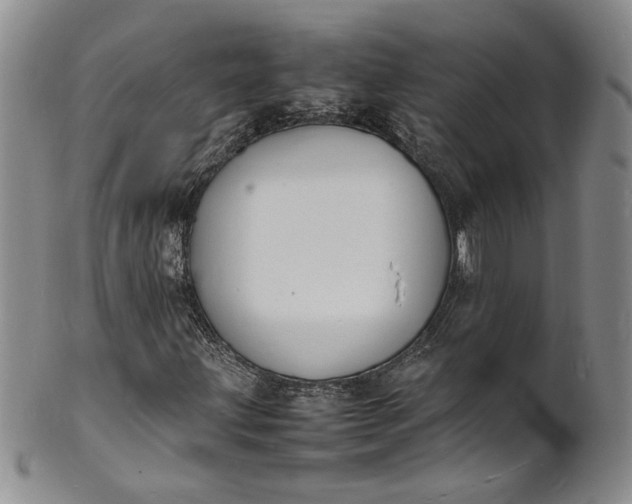 X0000100981203200807081235