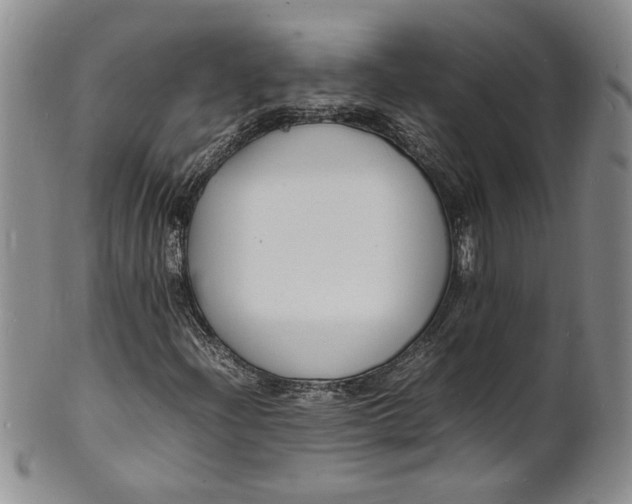 X0000100981204200807081235