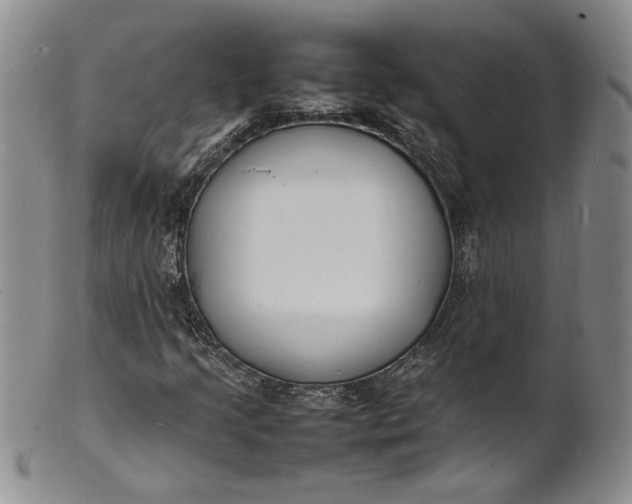 X0000100981205200807081235