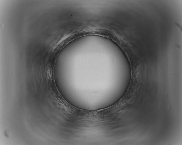 X0000100981206200807081235