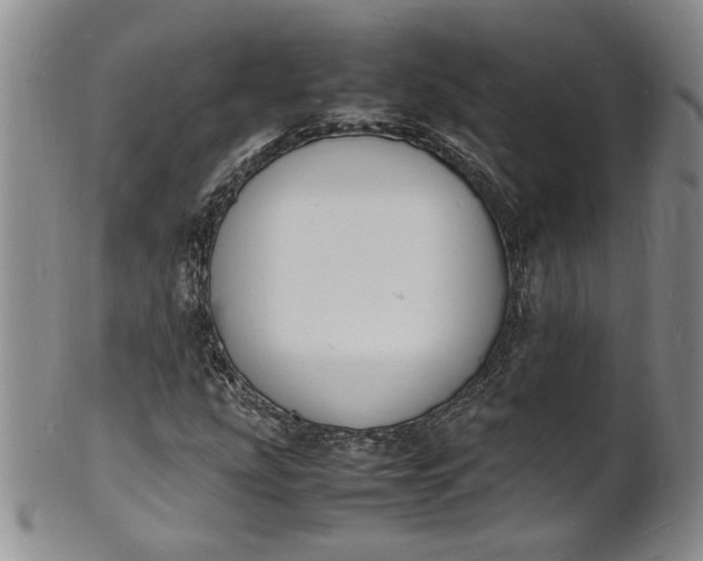 X0000100981207200807081235