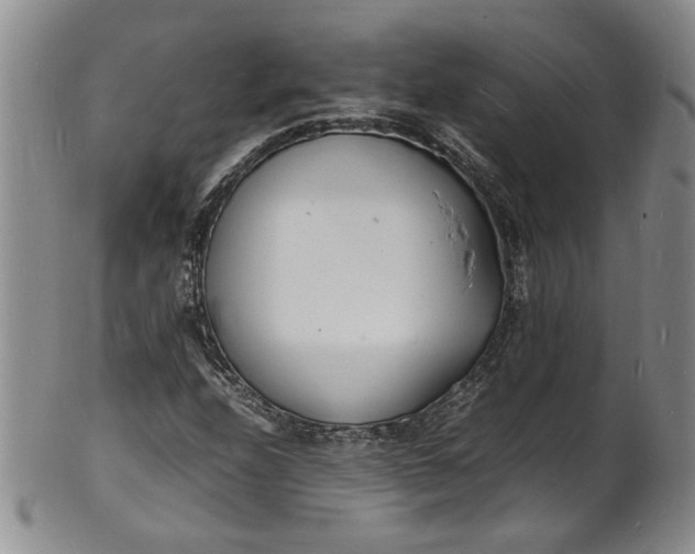 X0000100981208200807081235