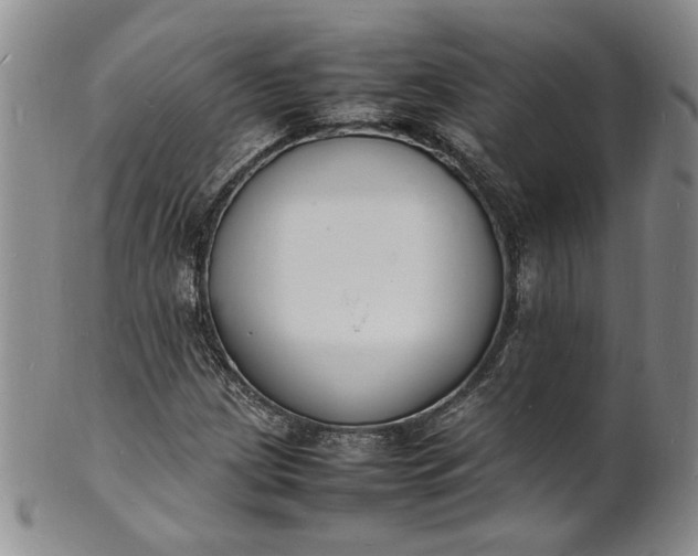 X0000100981209200807081235