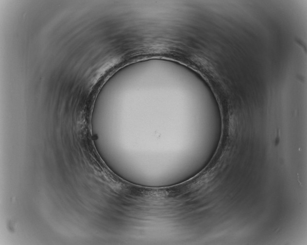 X0000100981210200807081235