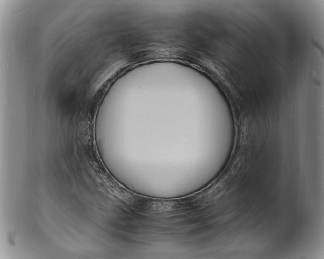 X0000100981211200807081235