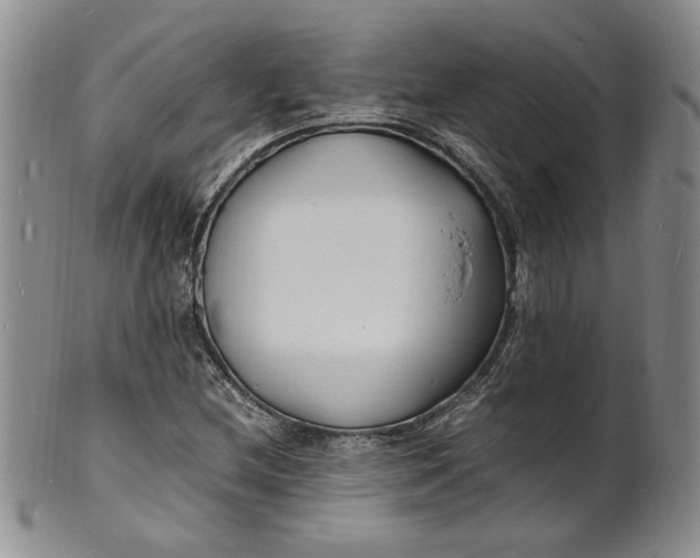 X0000100981212200807081235