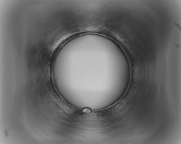 X0000100981214200807081235