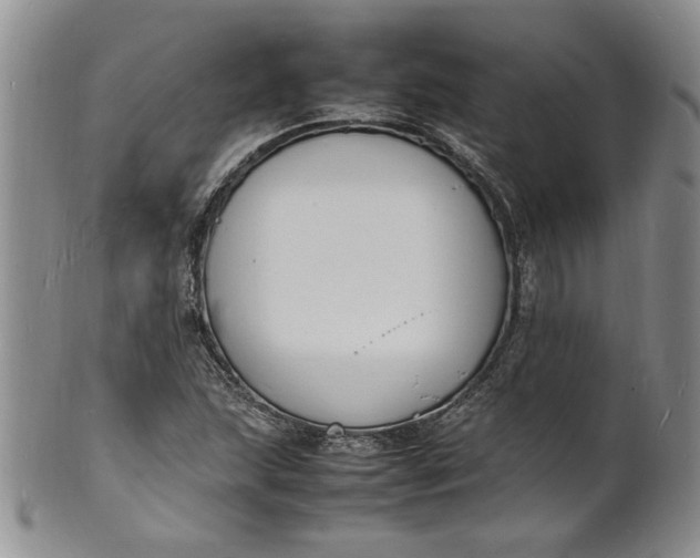 X0000100981215200807081235