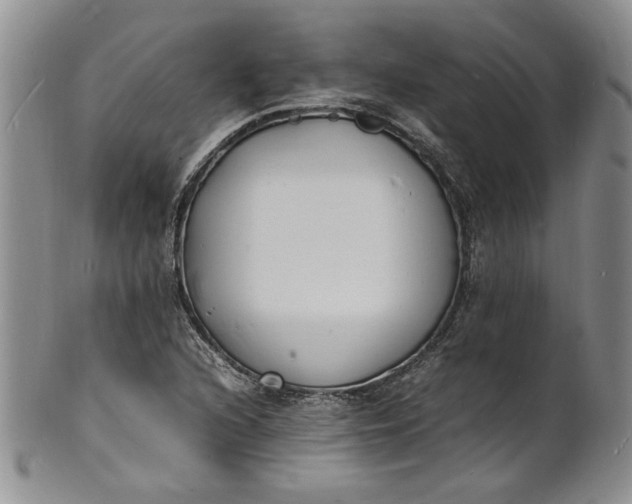 X0000100981216200807081235