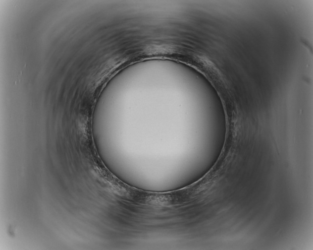 X0000100981217200807081235